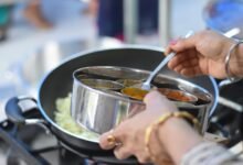 indian cuisine book summary