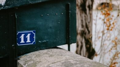 contact number information insights
