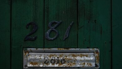 phone number inquiry details