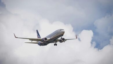 professional sector analysis report