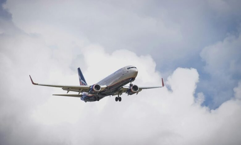 professional sector analysis report